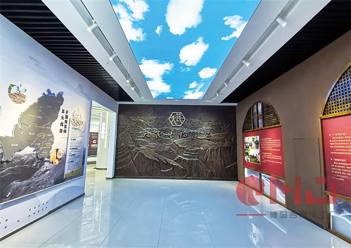 生物展厅布展-天芪生物香蕉视频黄色下载