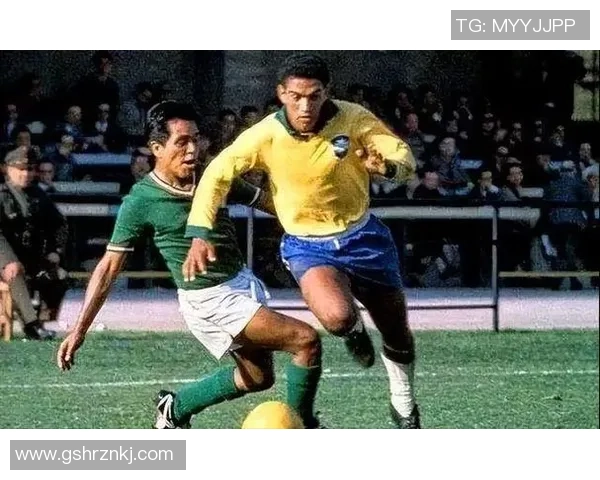 巴西现役足球明星盘点及其在国际赛场上的表现与影响力分析 巴西现役足球明星盘点及其在国际赛场上的表现与影响力分析