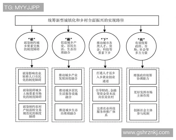 广州排球队运营分析：成功经验与面临挑战的全面探讨